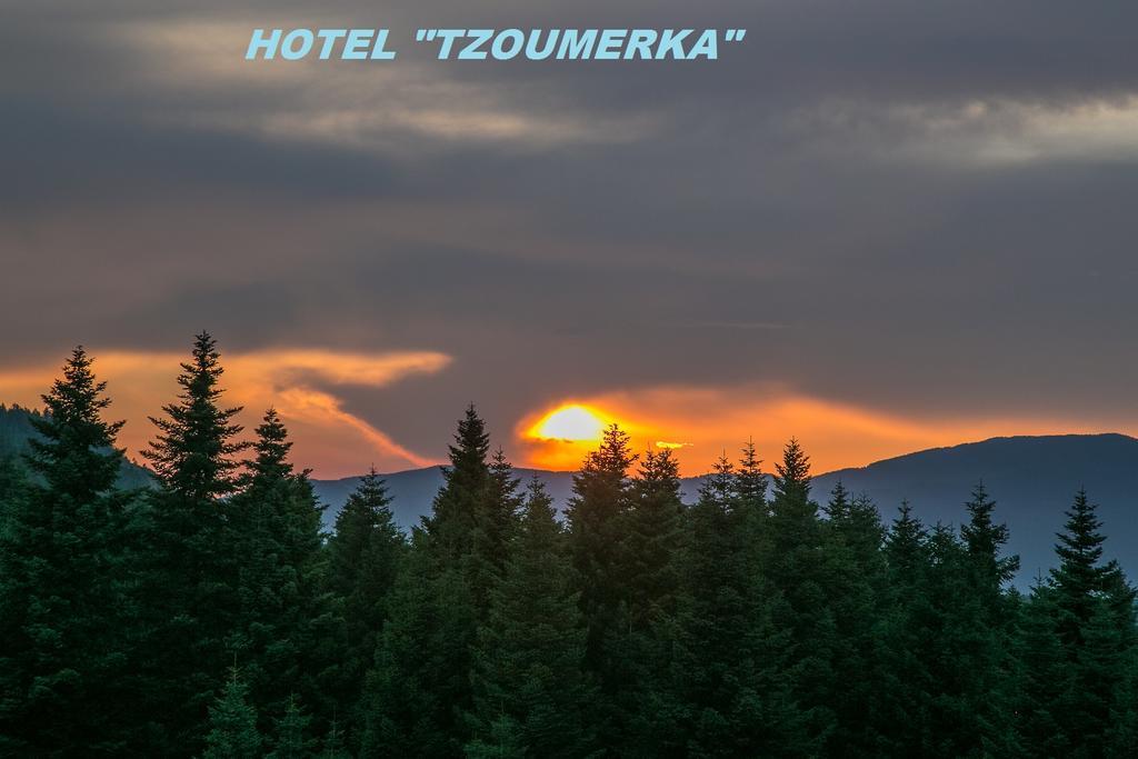 Hotel Tzoumerka Pramanta Zewnętrze zdjęcie